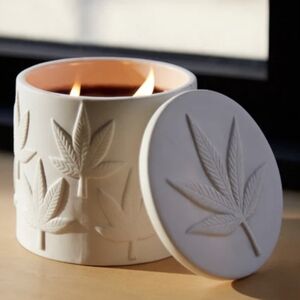 NWT Jonathan Adler Hashish Candle - Bisque White
